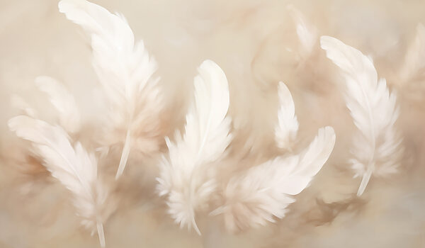 Groupe de plumes blanches Groupe de plumes blanches
