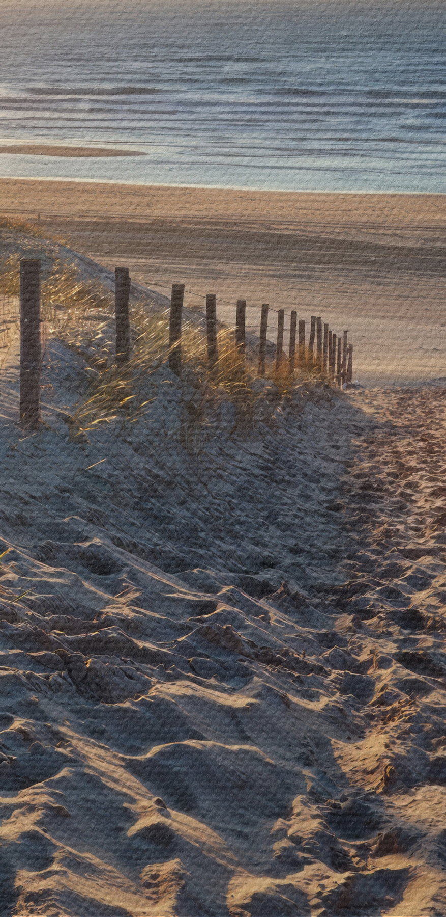 Chemin vers la plage