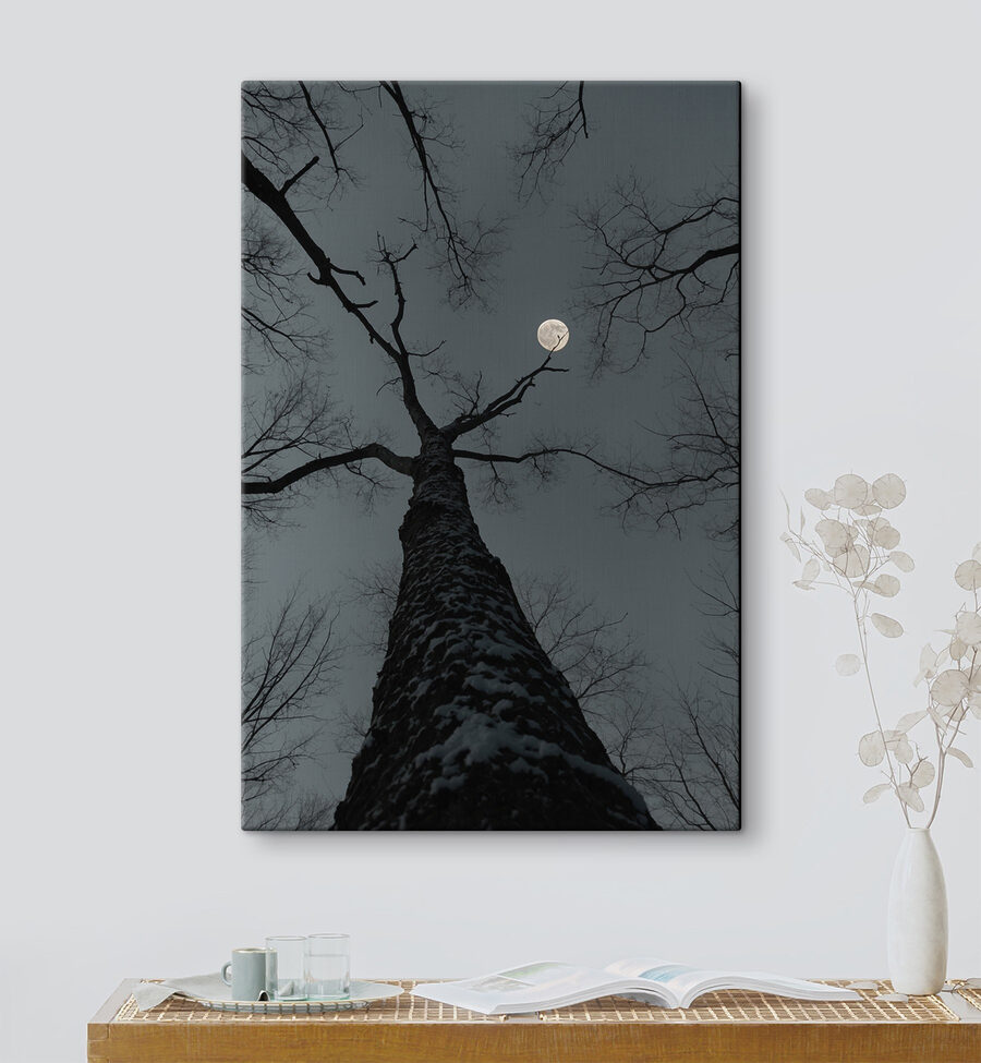 Arbre avec la lune en arrière-plan Arbre avec la lune en arrière-plan