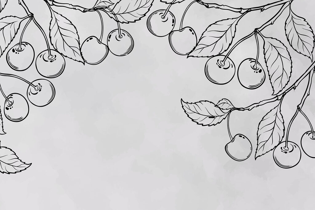 Dessin de cerises sur une branche Dessin de cerises sur une branche