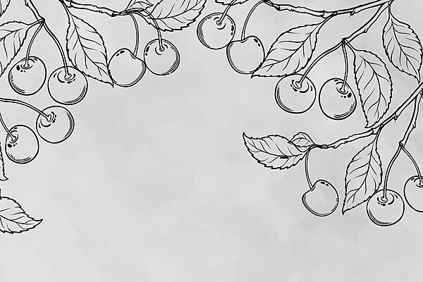 Dessin de cerises sur une branche Dessin de cerises sur une branche