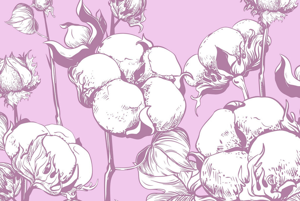 Fleurs de coton sur une toile de fond douce Fleurs de coton sur une toile de fond douce