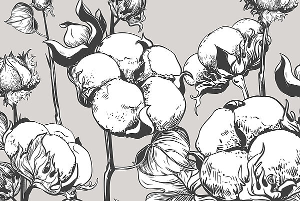 – ; Le coton délicat s'épanouit en monochrome. – ; Le coton délicat s'épanouit en monochrome.