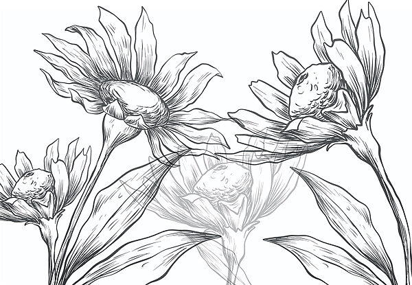 Dessin de fleurs avec des feuilles Dessin de fleurs avec des feuilles