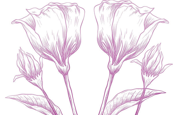 Fleurs délicates dans des tons pastel doux Fleurs délicates dans des tons pastel doux