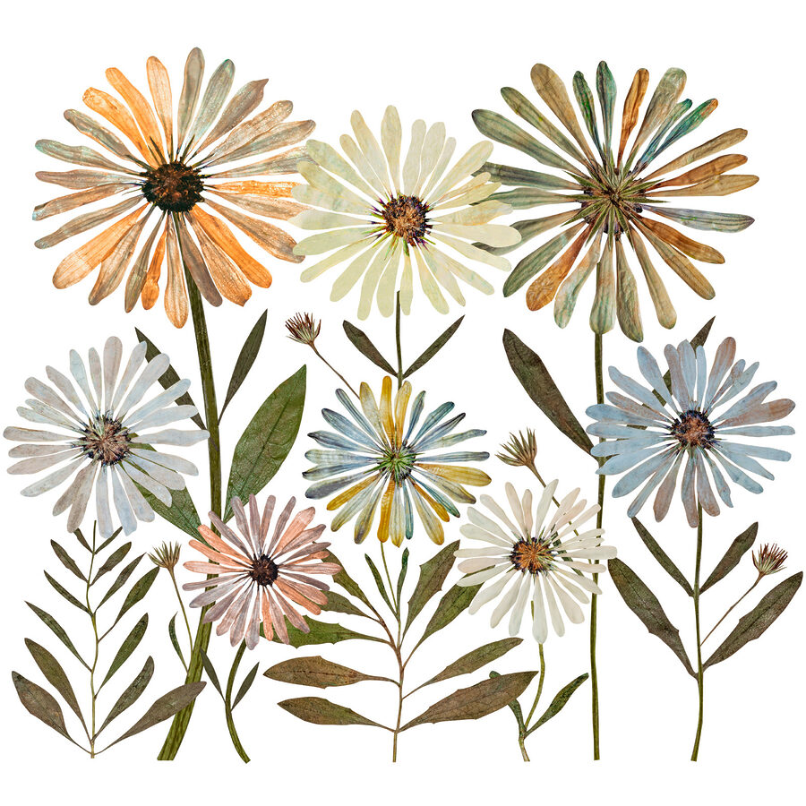 Groupe de fleurs avec feuilles