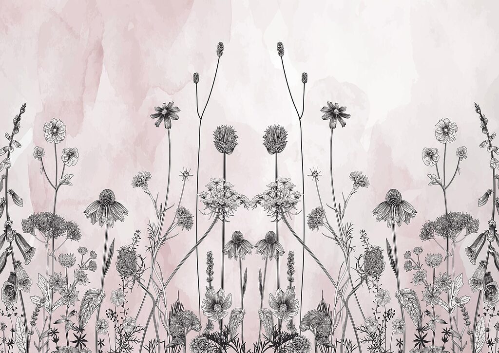 Dessin de fleurs et de plantes Dessin de fleurs et de plantes