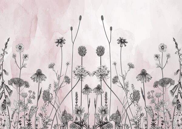 Dessin de fleurs et de plantes Dessin de fleurs et de plantes