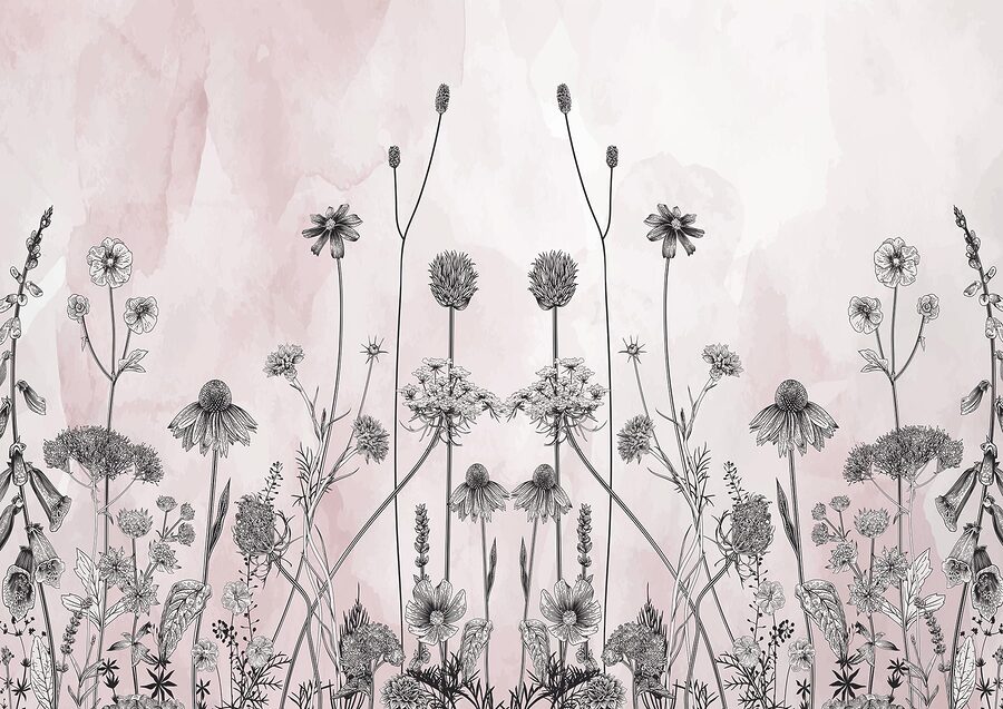 Dessin de fleurs et de plantes Dessin de fleurs et de plantes