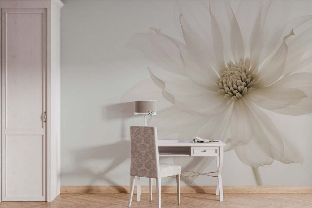 Delicate petals of pure elegance Delicate petals of pure elegance