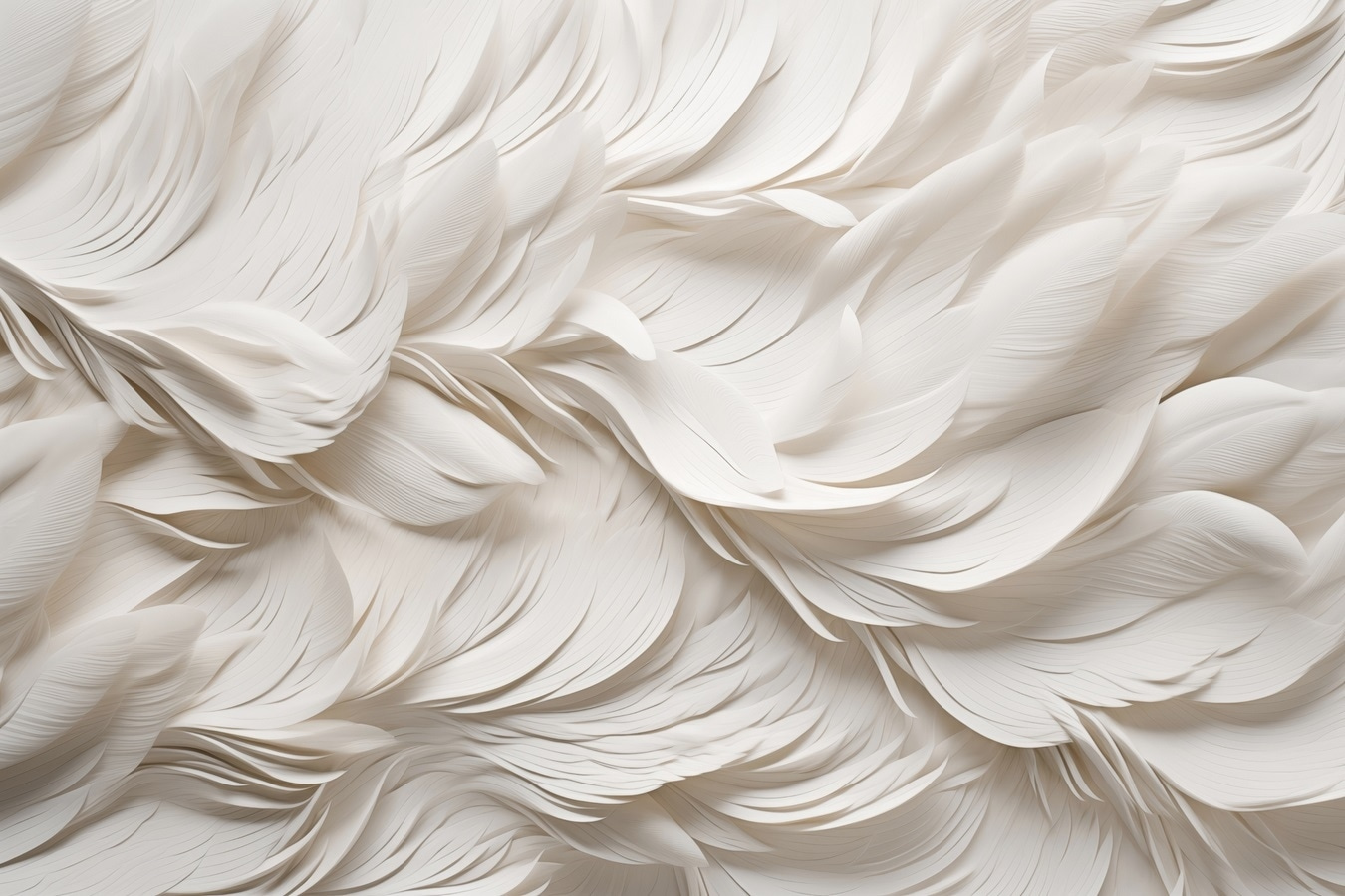 White feathers on a surface White feathers on a surface