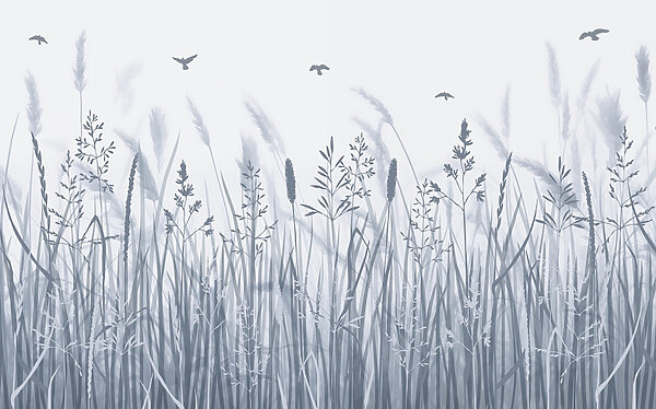 Champ d'herbe avec des oiseaux en vol Champ d'herbe avec des oiseaux en vol
