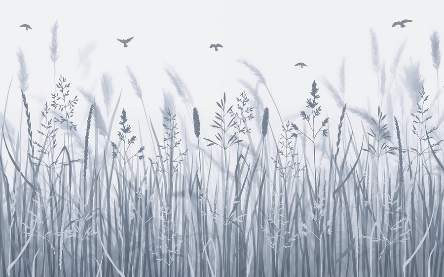 Champ d'herbe avec des oiseaux en vol Champ d'herbe avec des oiseaux en vol