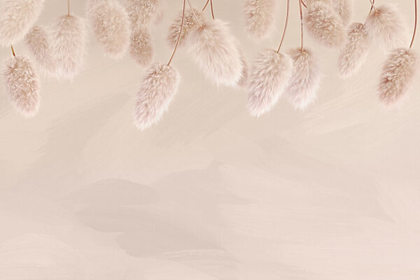 Groupe de fleurs pelucheuses Groupe de fleurs pelucheuses
