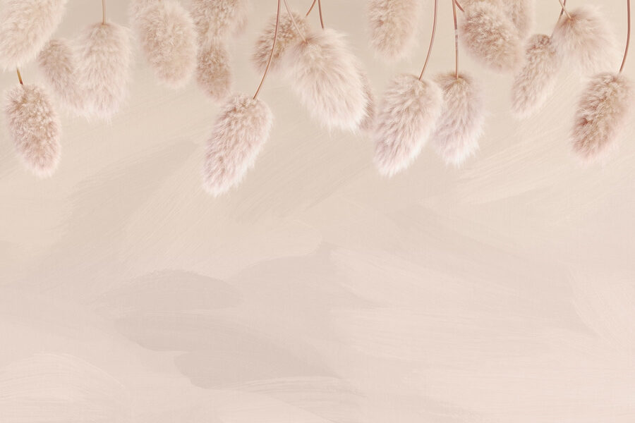 Groupe de fleurs pelucheuses