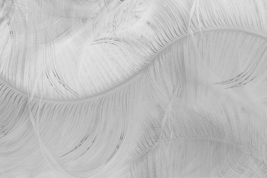 Motif de plumes blanches sur une surface blanche