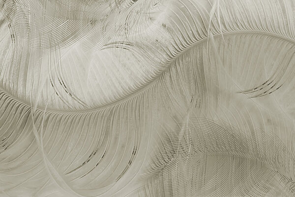 Texture feuillue et sereine de la nature. Texture feuillue et sereine de la nature.