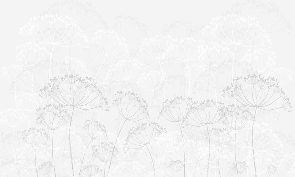 Motif de fleurs blanches Motif de fleurs blanches