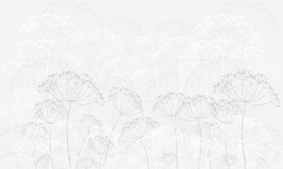 Motif de fleurs blanches