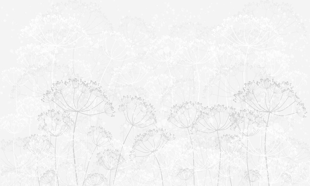 Fond blanc avec des fleurs Fond blanc avec des fleurs
