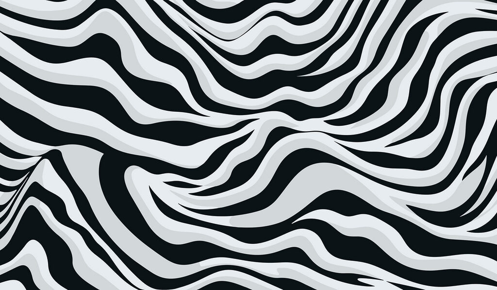Motif rayé noir et blanc Motif rayé noir et blanc