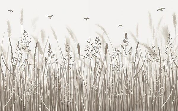 Champ d'herbe avec des oiseaux en vol Champ d'herbe avec des oiseaux en vol