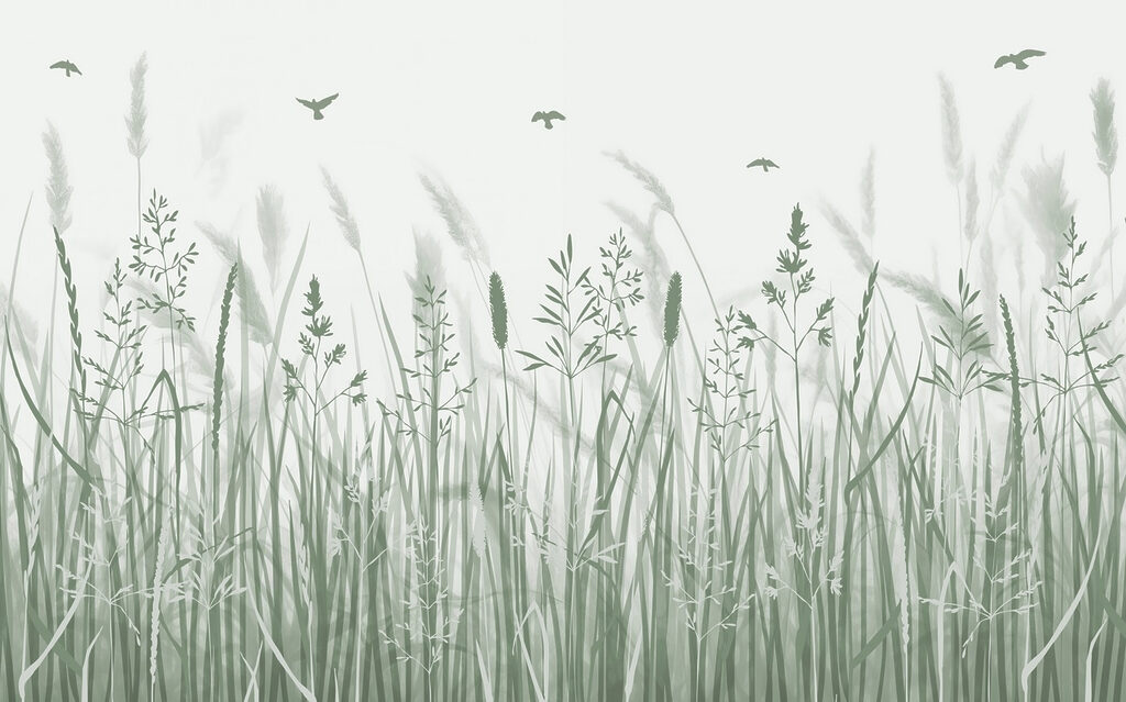 Champ d'herbe avec des oiseaux en vol Champ d'herbe avec des oiseaux en vol