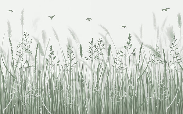 Champ d'herbe avec des oiseaux en vol Champ d'herbe avec des oiseaux en vol