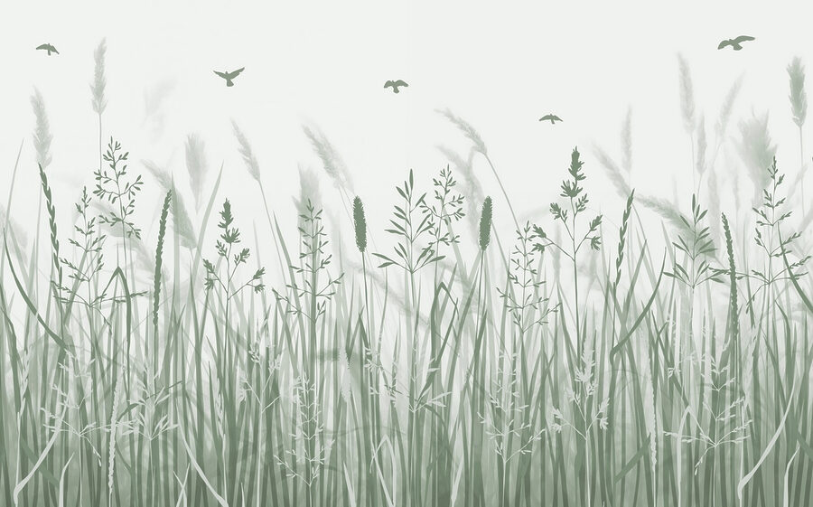 Champ d'herbe avec des oiseaux en vol Champ d'herbe avec des oiseaux en vol