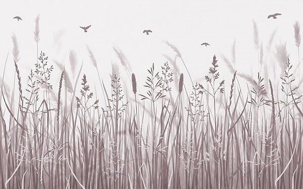 Champ d'herbe avec des oiseaux en vol Champ d'herbe avec des oiseaux en vol