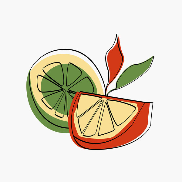 Dessin d'un citron et d'une orange Dessin d'un citron et d'une orange