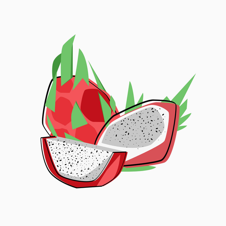 Dessin d'un fruit du dragon Dessin d'un fruit du dragon