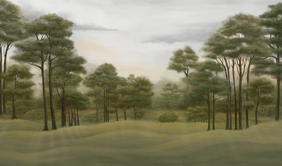 Paysage avec arbres et herbe