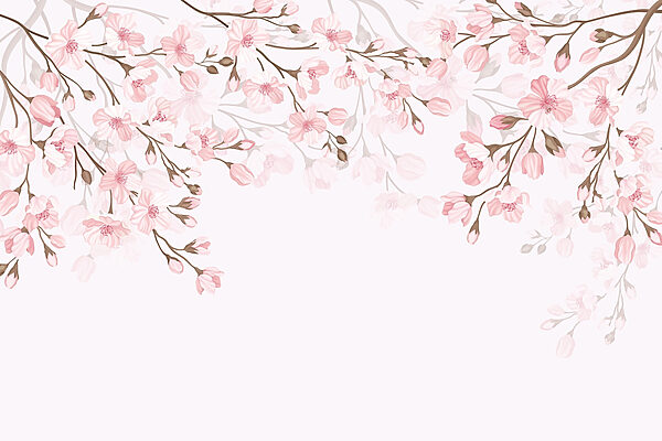 Pink flowers on a white background