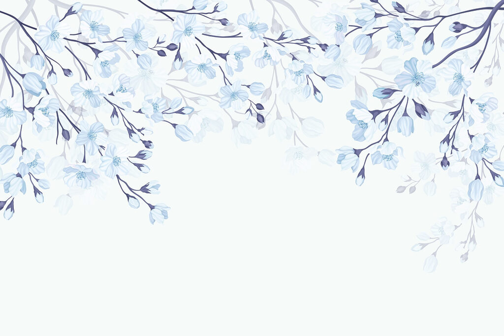 Fleurs blanches et bleues sur fond blanc Fleurs blanches et bleues sur fond blanc