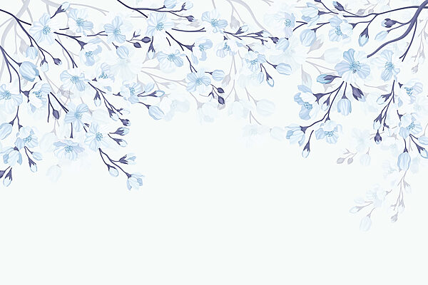 Fleurs blanches et bleues sur fond blanc Fleurs blanches et bleues sur fond blanc