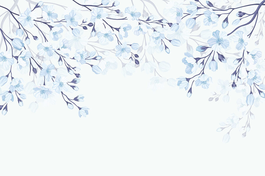 Fleurs blanches et bleues sur fond blanc