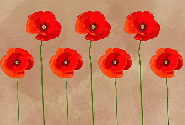 Groupe de fleurs rouges Groupe de fleurs rouges