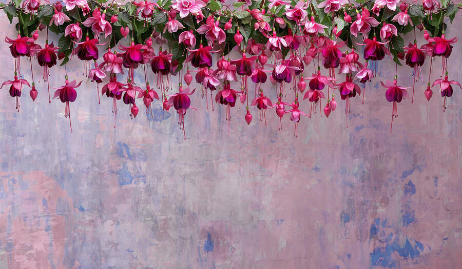 Groupe de fleurs roses