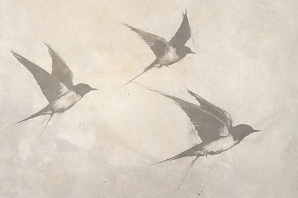 Groupe d'oiseaux en vol Groupe d'oiseaux en vol