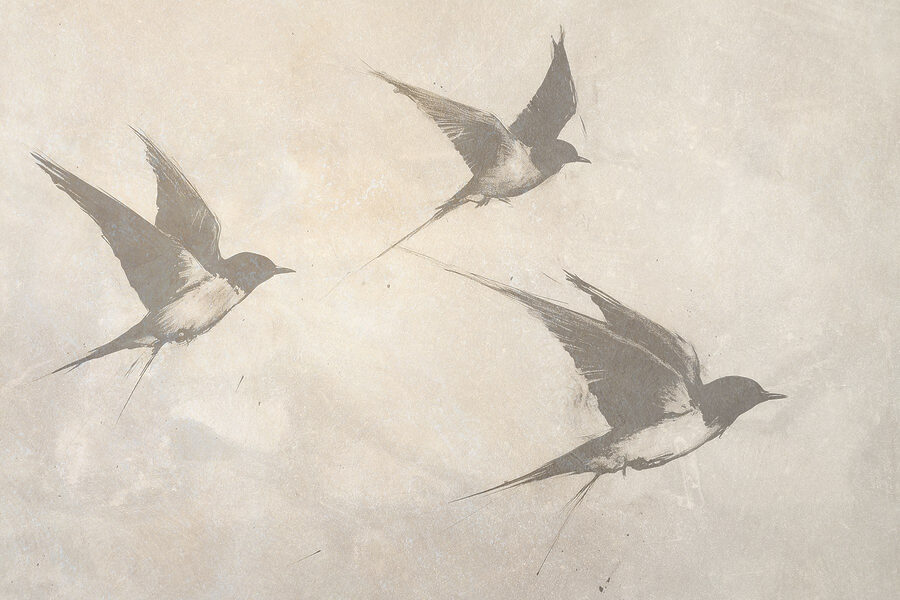 Groupe d'oiseaux en vol