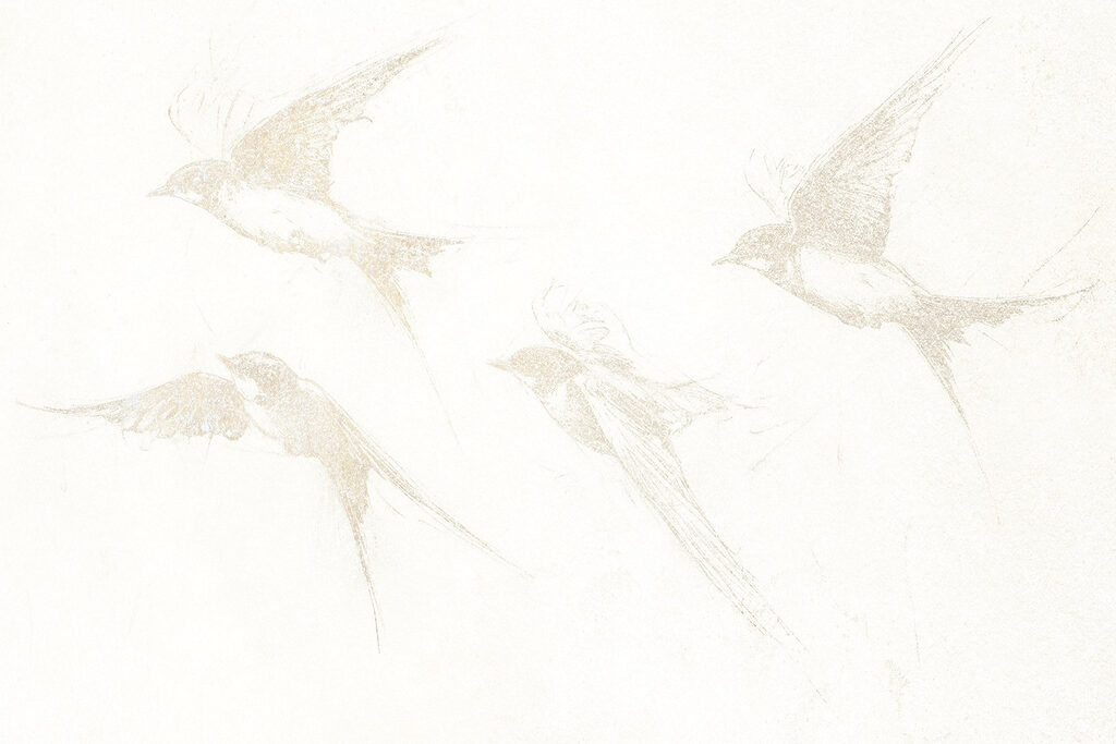 Groupe d'oiseaux en vol Groupe d'oiseaux en vol