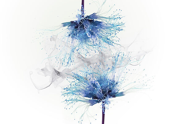 Fleurs bleues avec encre blanche dans l'air Fleurs bleues avec encre blanche dans l'air