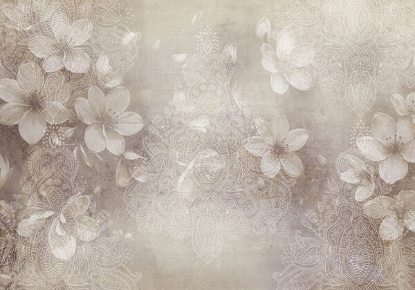 Fleurs blanches sur fond gris Fleurs blanches sur fond gris