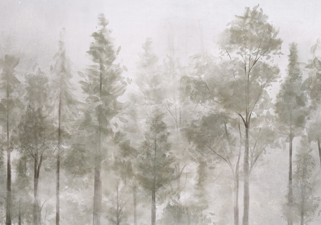 Groupe d'arbres dans le brouillard Groupe d'arbres dans le brouillard