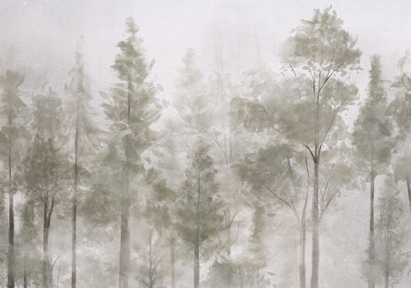 Groupe d'arbres dans le brouillard Groupe d'arbres dans le brouillard