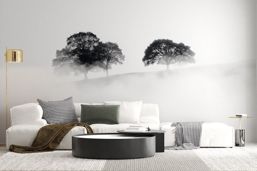 Groupe d'arbres dans le brouillard