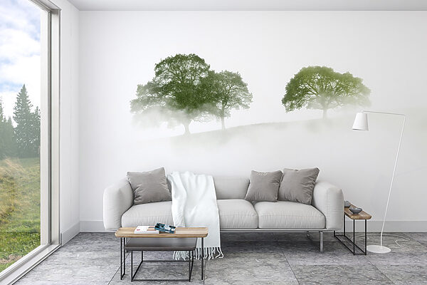 Arbres dans le brouillard Arbres dans le brouillard