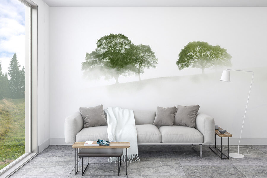 Arbres dans le brouillard Arbres dans le brouillard
