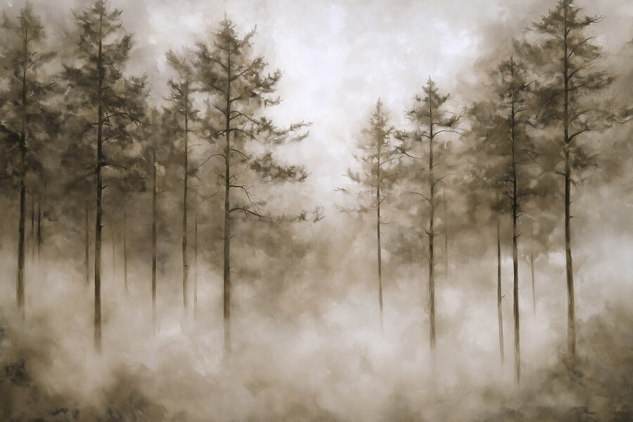 Forêt brumeuse avec des arbres